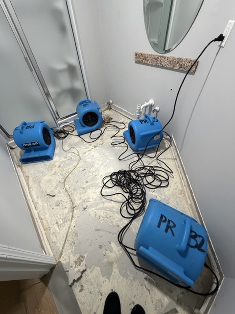 Gallery image 11