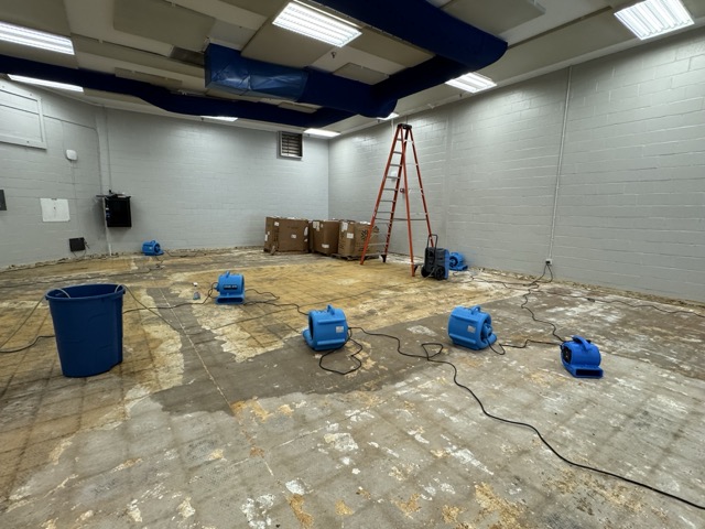 Gallery image 20