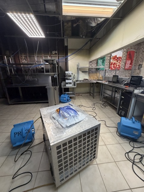 Gallery image 14