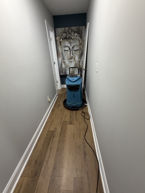 Gallery image 7