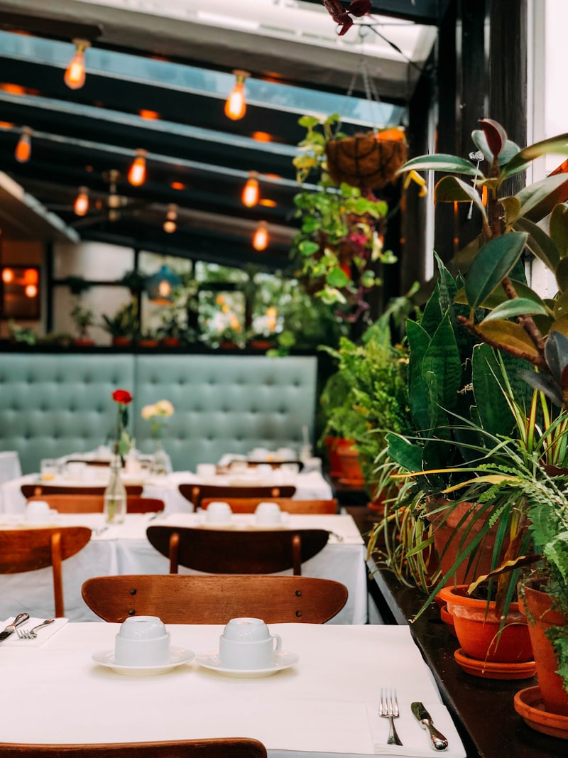 Restaurante pet friendly: Finca del Mar en Casco Viejo