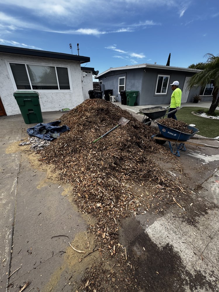 Lemon Grove Yard Debris Removal: Keeping Your Property Clean