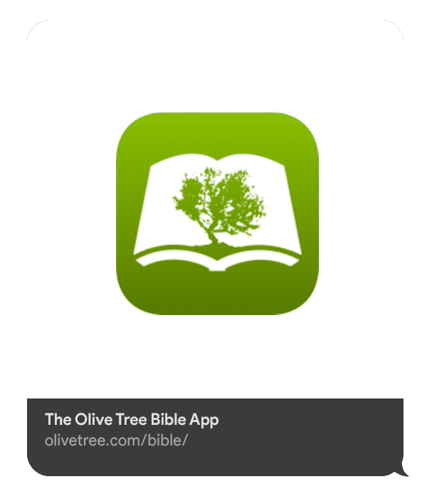 Olive Tree
