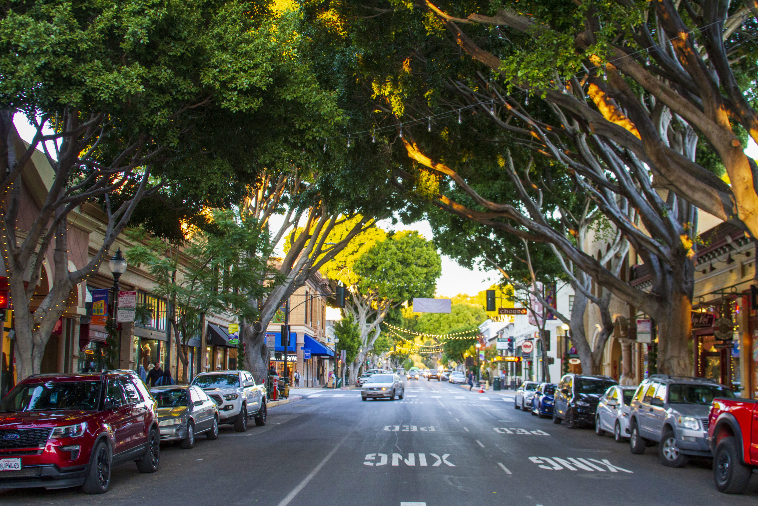 Downtown San Luis Obispo Tree-Lined Higuera Street