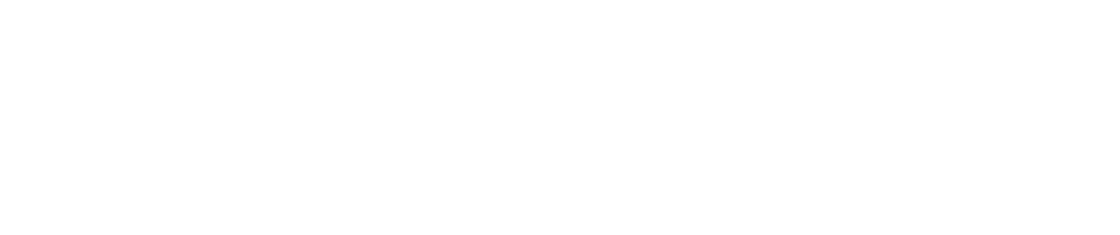 XENO Academy Logo