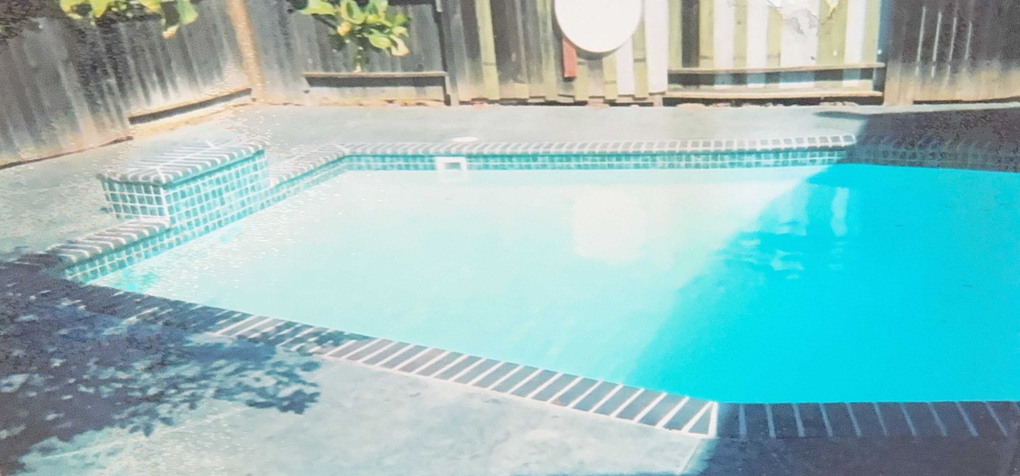 Custom pool with blue tile border and dark concrete coping