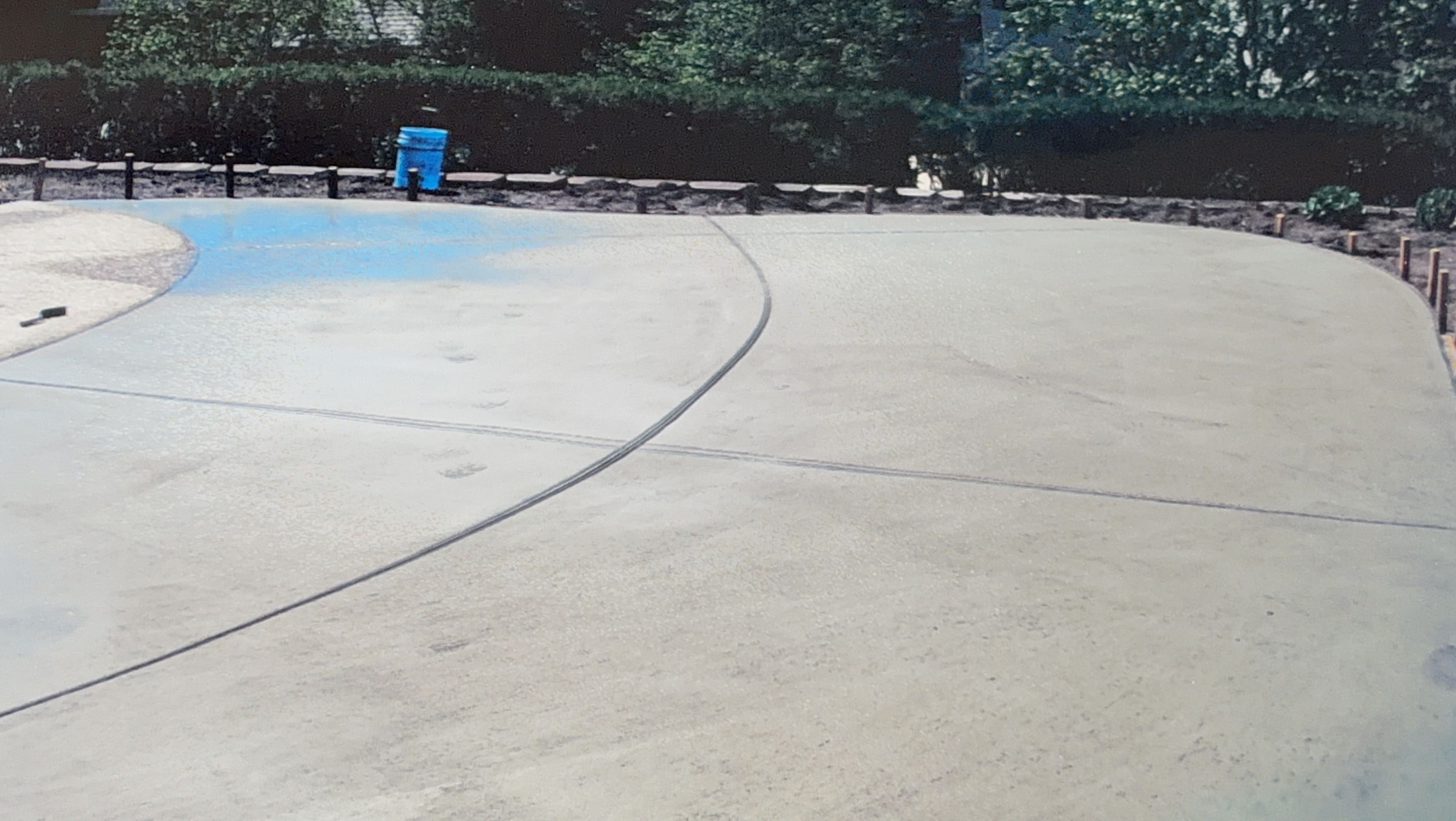 Smooth curved concrete patio under construction next to a dark hedge