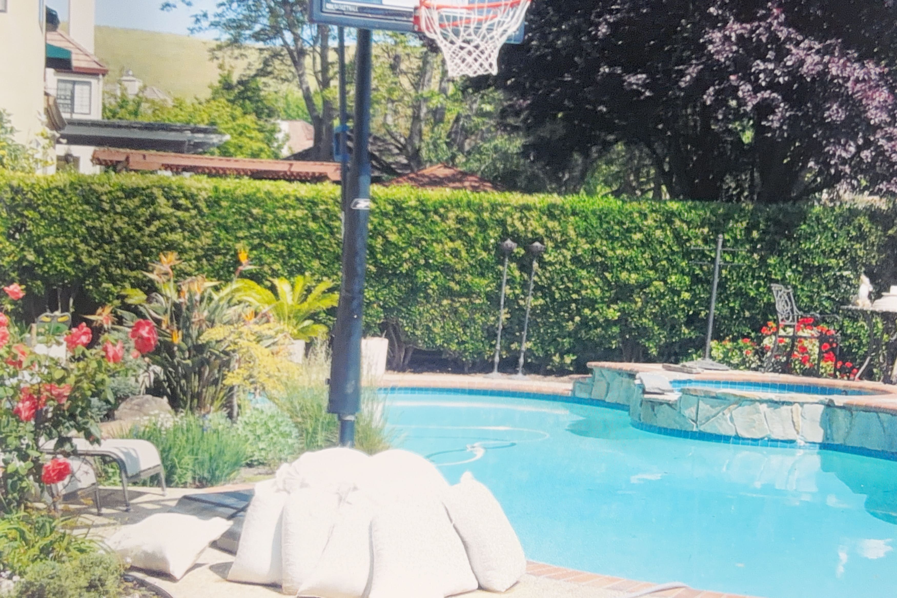 Backyard swimming pool with a basketball hoop, surrounded by a green hedge
