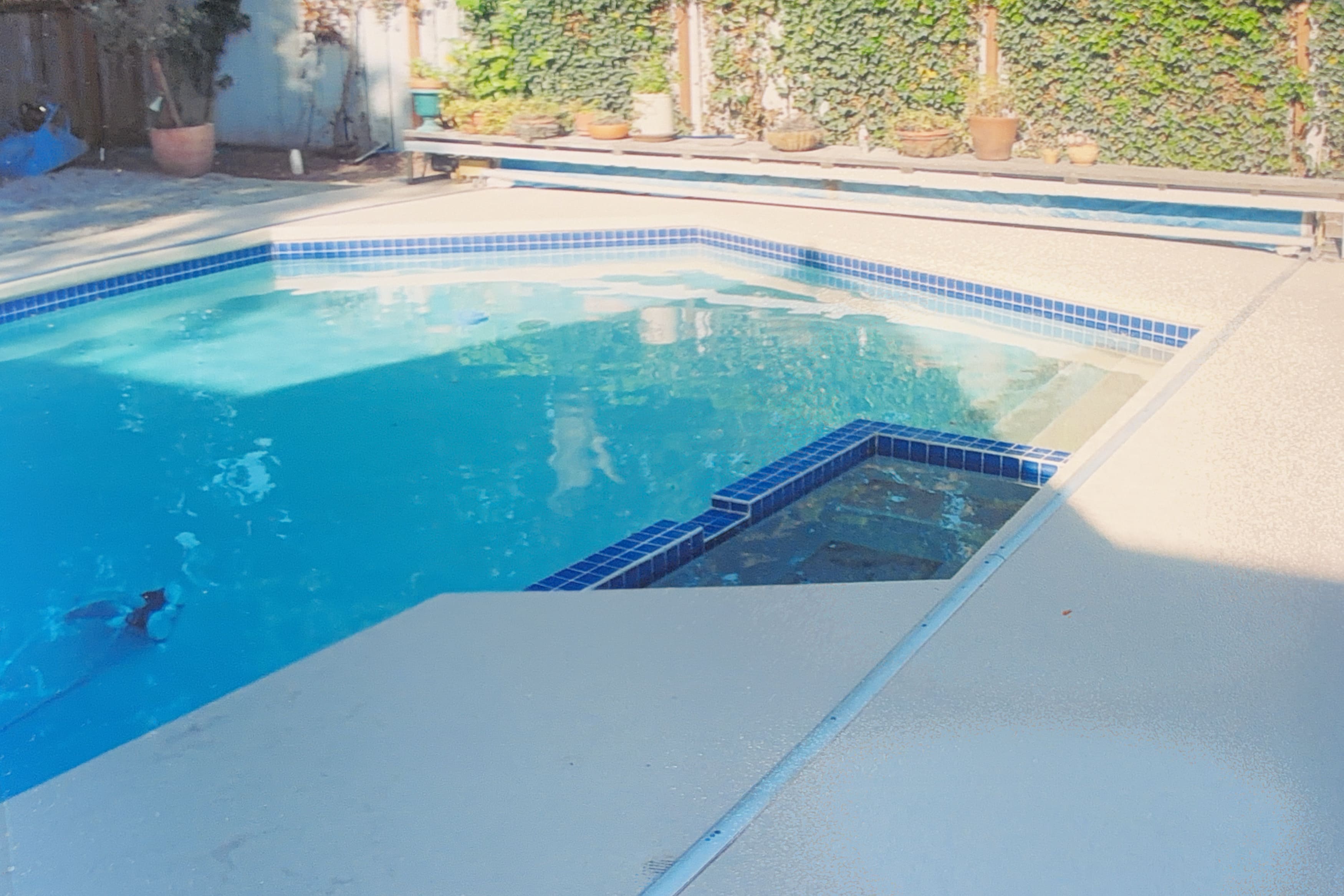 A swimming pool with blue tile trim and a clean concrete deck