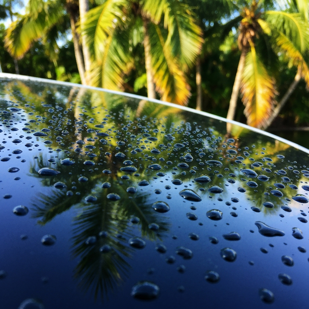 Wax and ceramic protection applied to every vessel after compounding