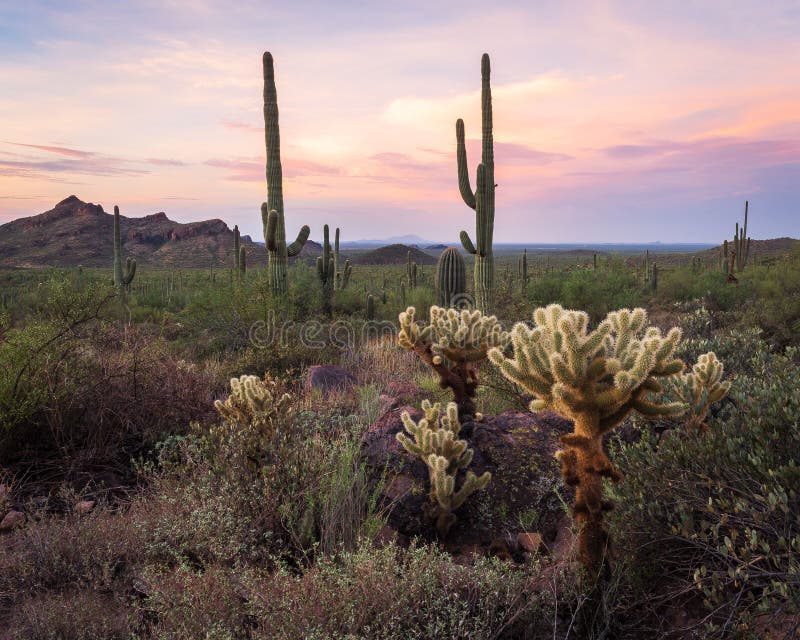 San Tan Valley, AZ