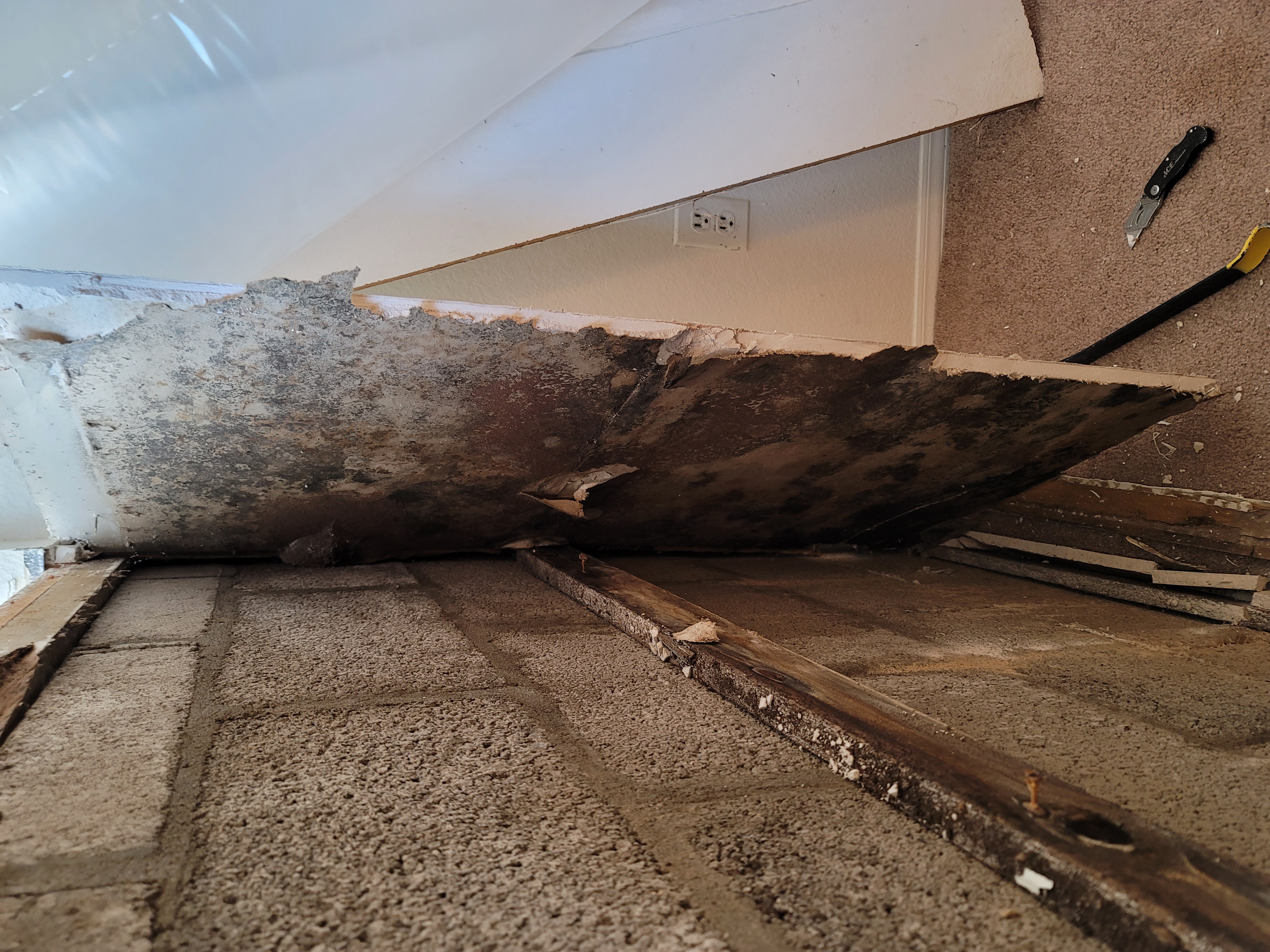 Mold Remediation work example 5
