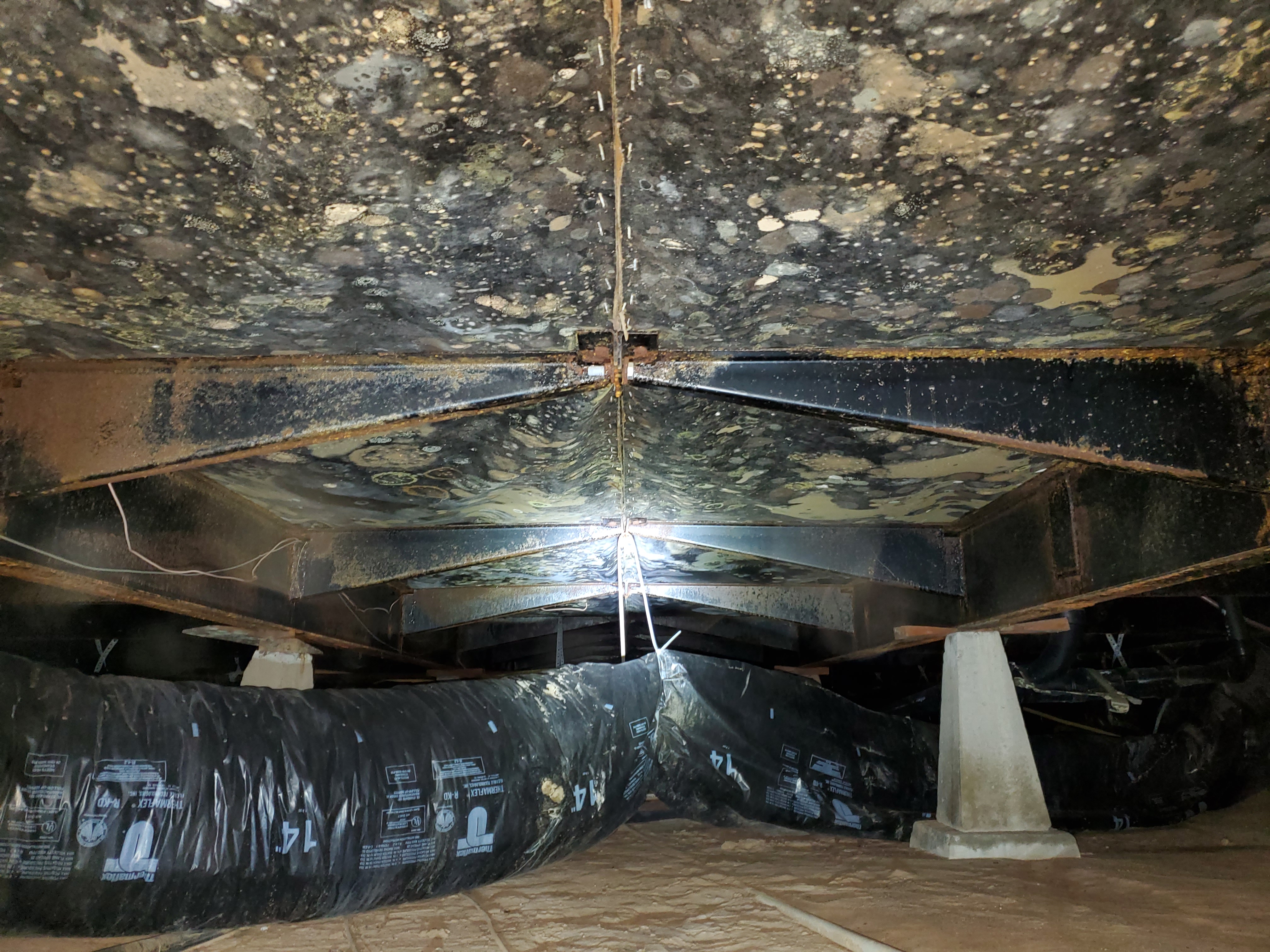 Mold Remediation
