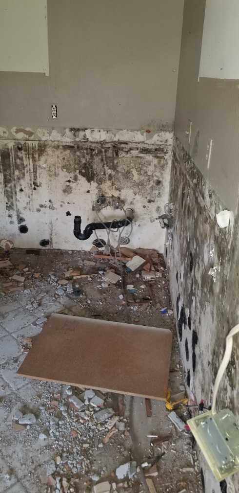 Mold Remediation work example 3