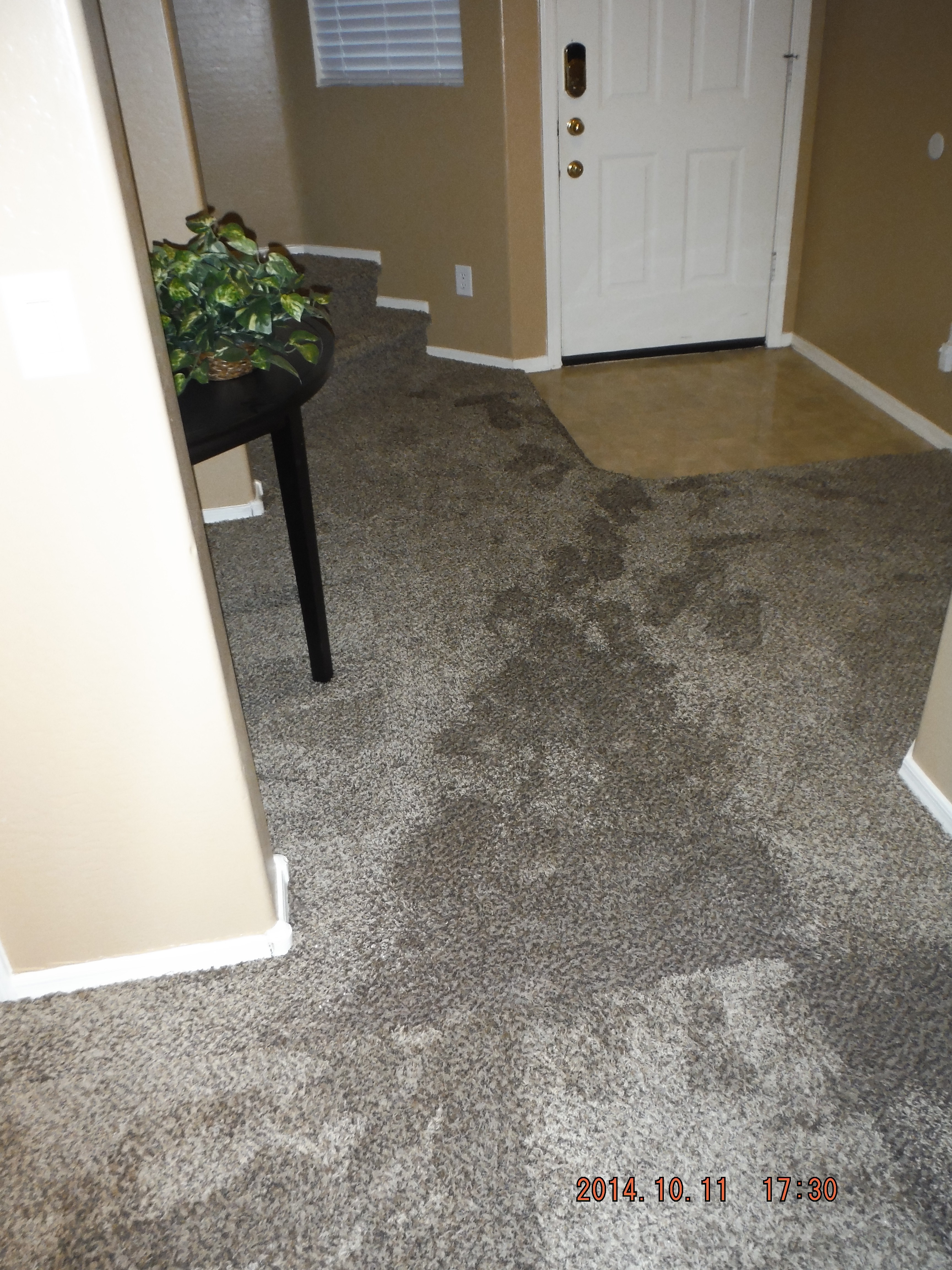 Water damage restoration in progress