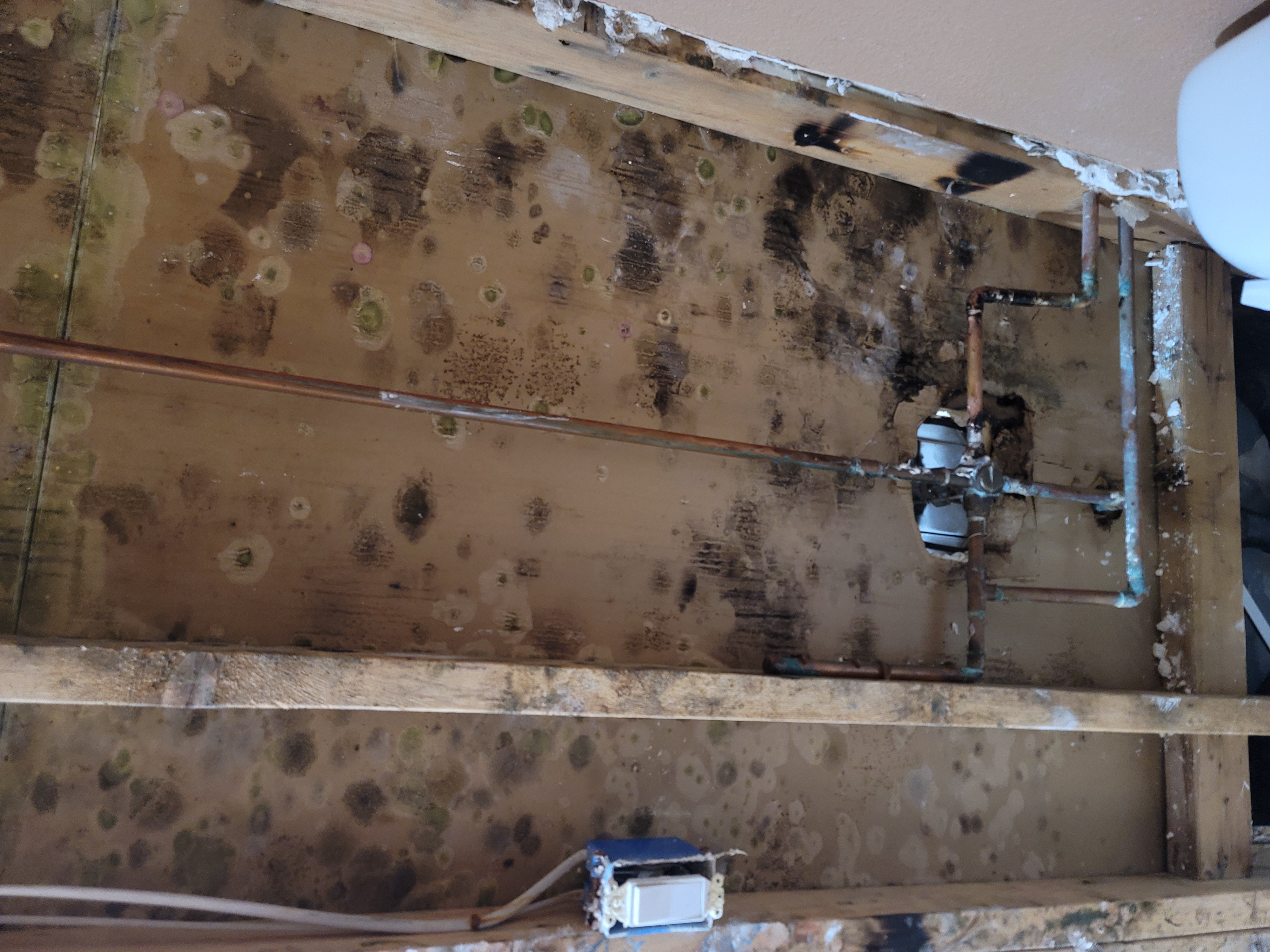 Mold Remediation work example 6