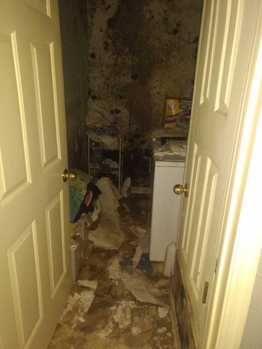 Mold Remediation work example 4