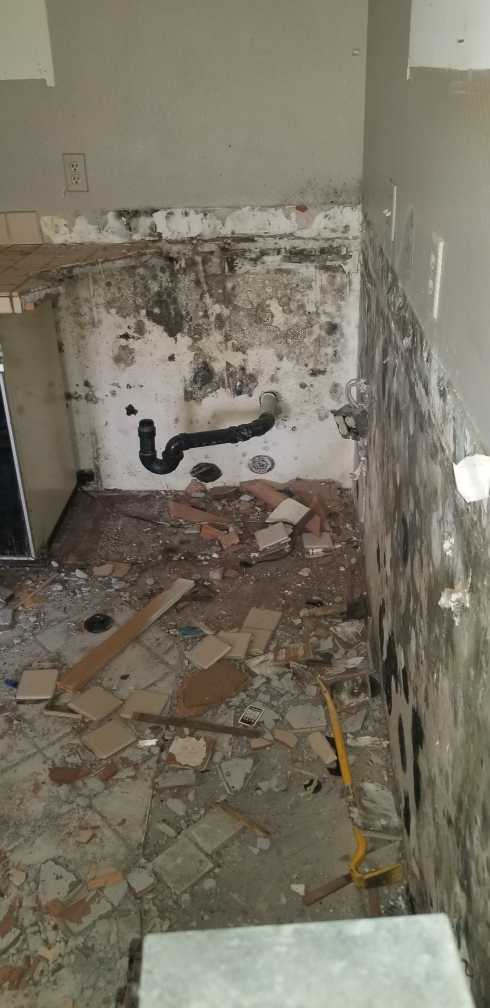 Mold remediation work
