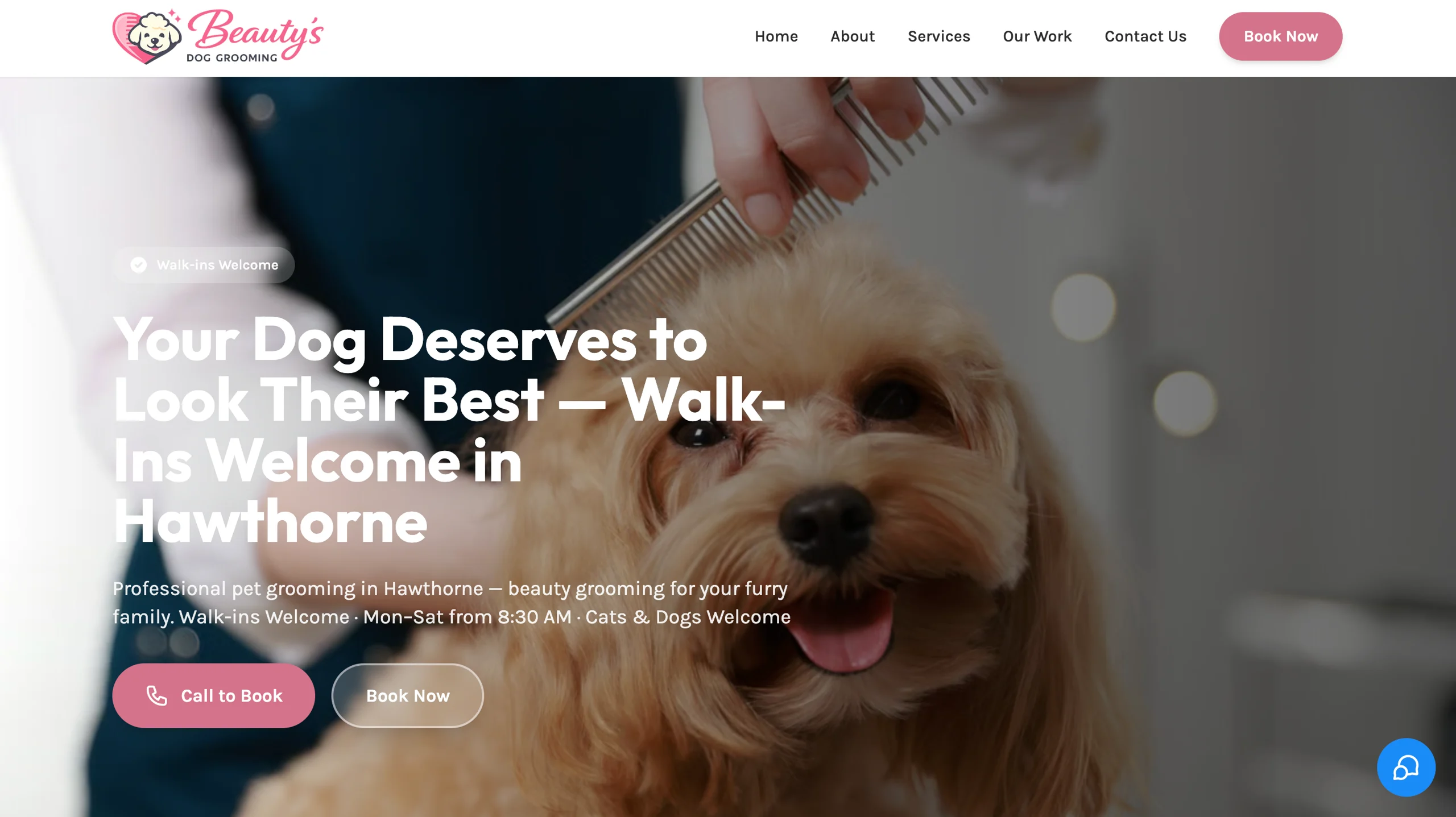 Beauty's Dog Grooming