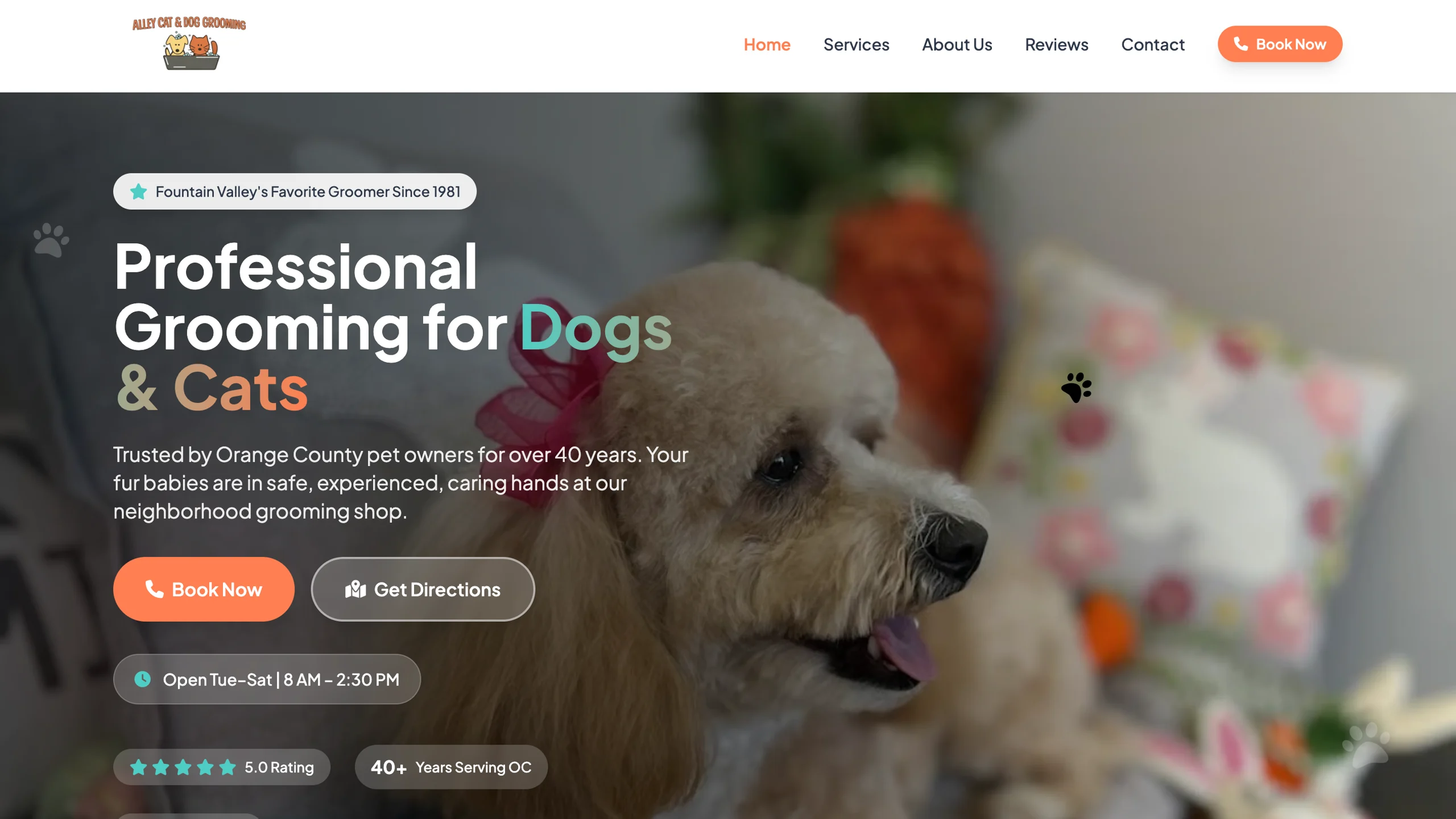 Alley Cat and Dog Grooming