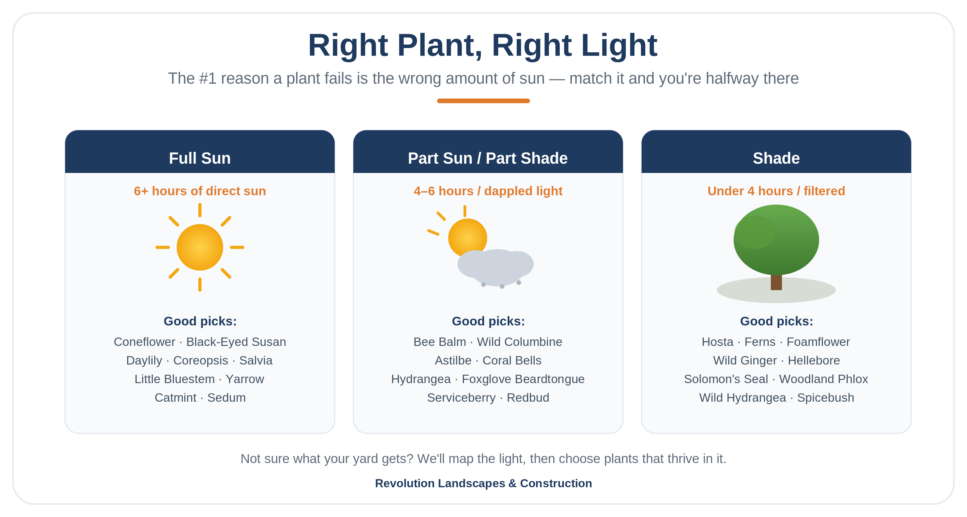 Match plants to the light they get