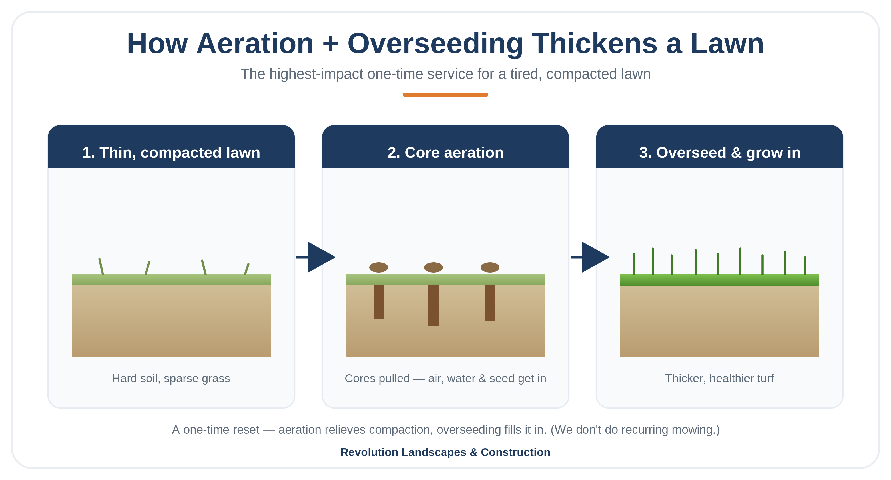 How Aeration + Overseeding Thickens a Lawn