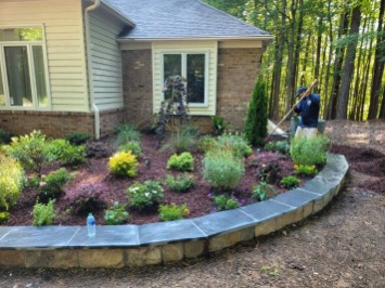 Landscape design and planting