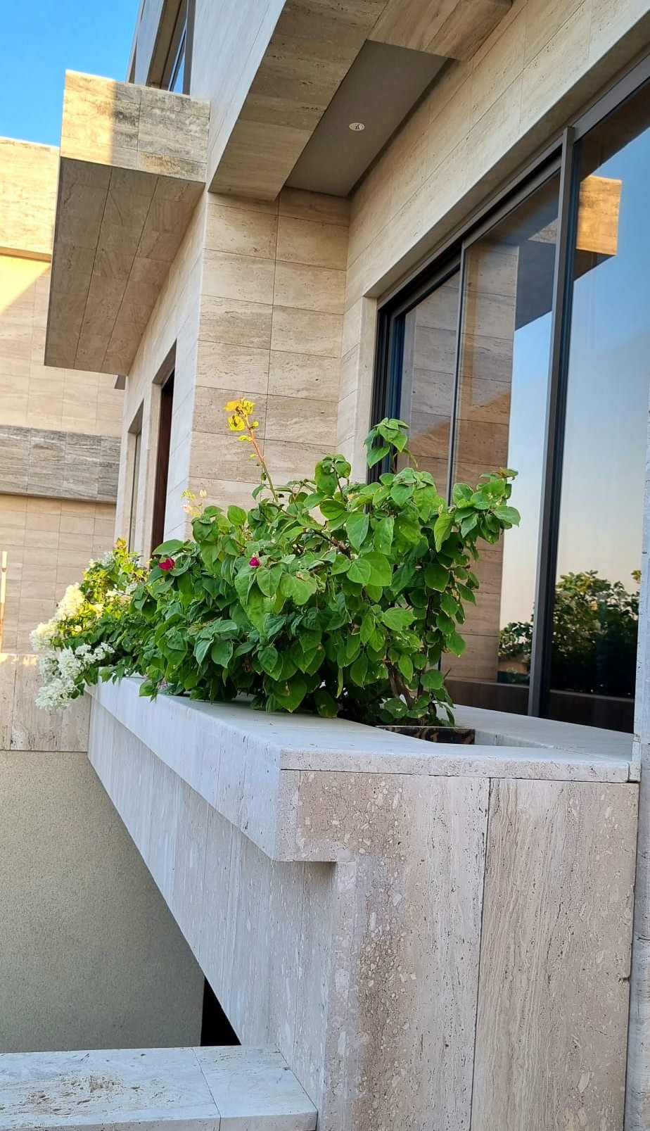 Travertine planter box with integrated greenery at private residence