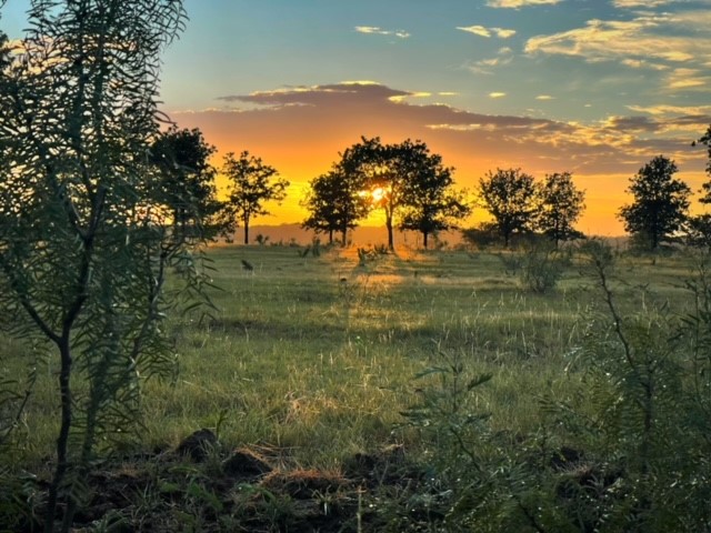 Sunset over the ranch