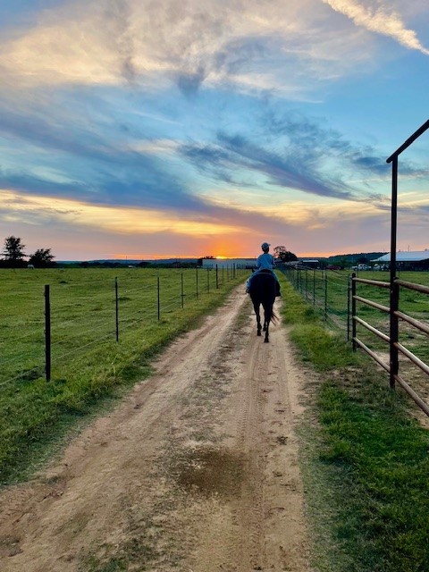 Riding horse into the sunset