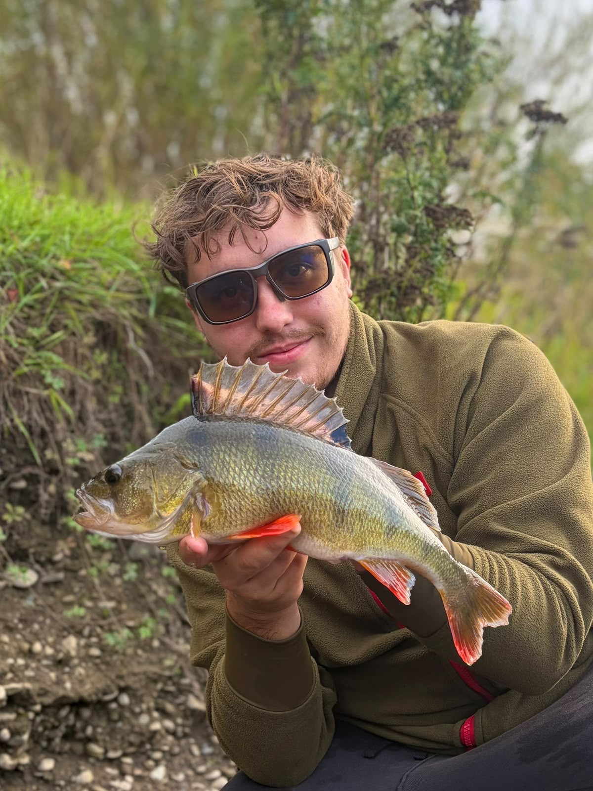 River Wye specimen perch catch