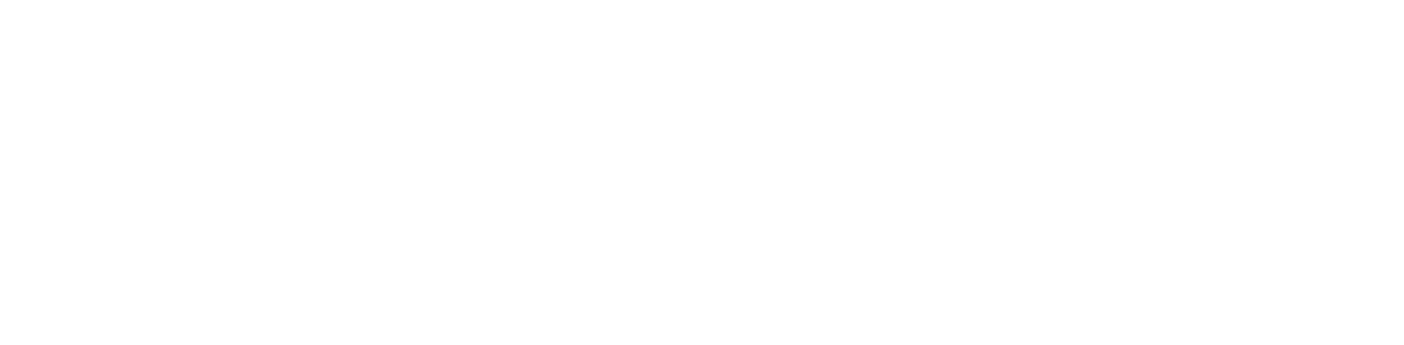 WiseWing