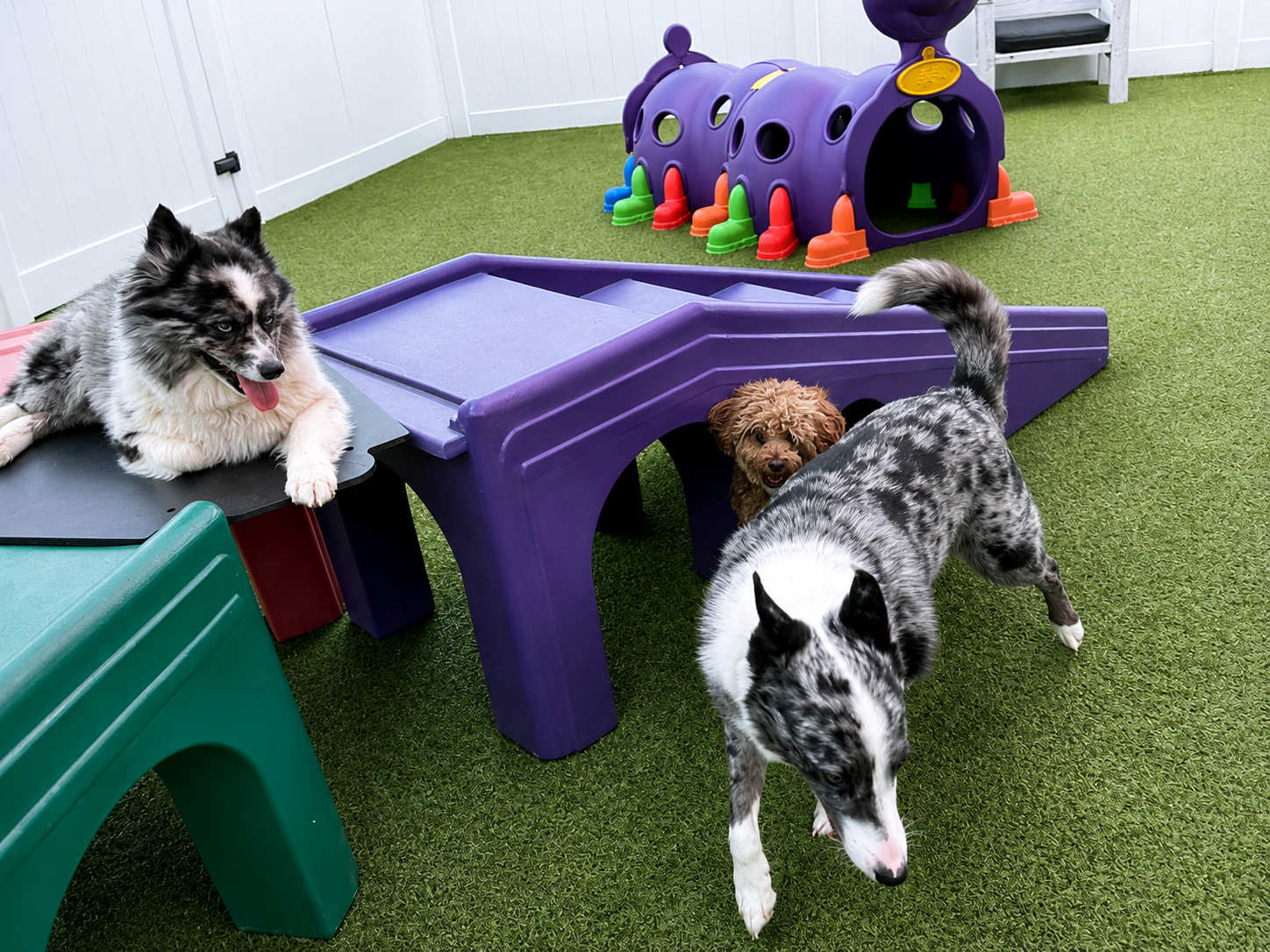 Happy Daycare Adventures