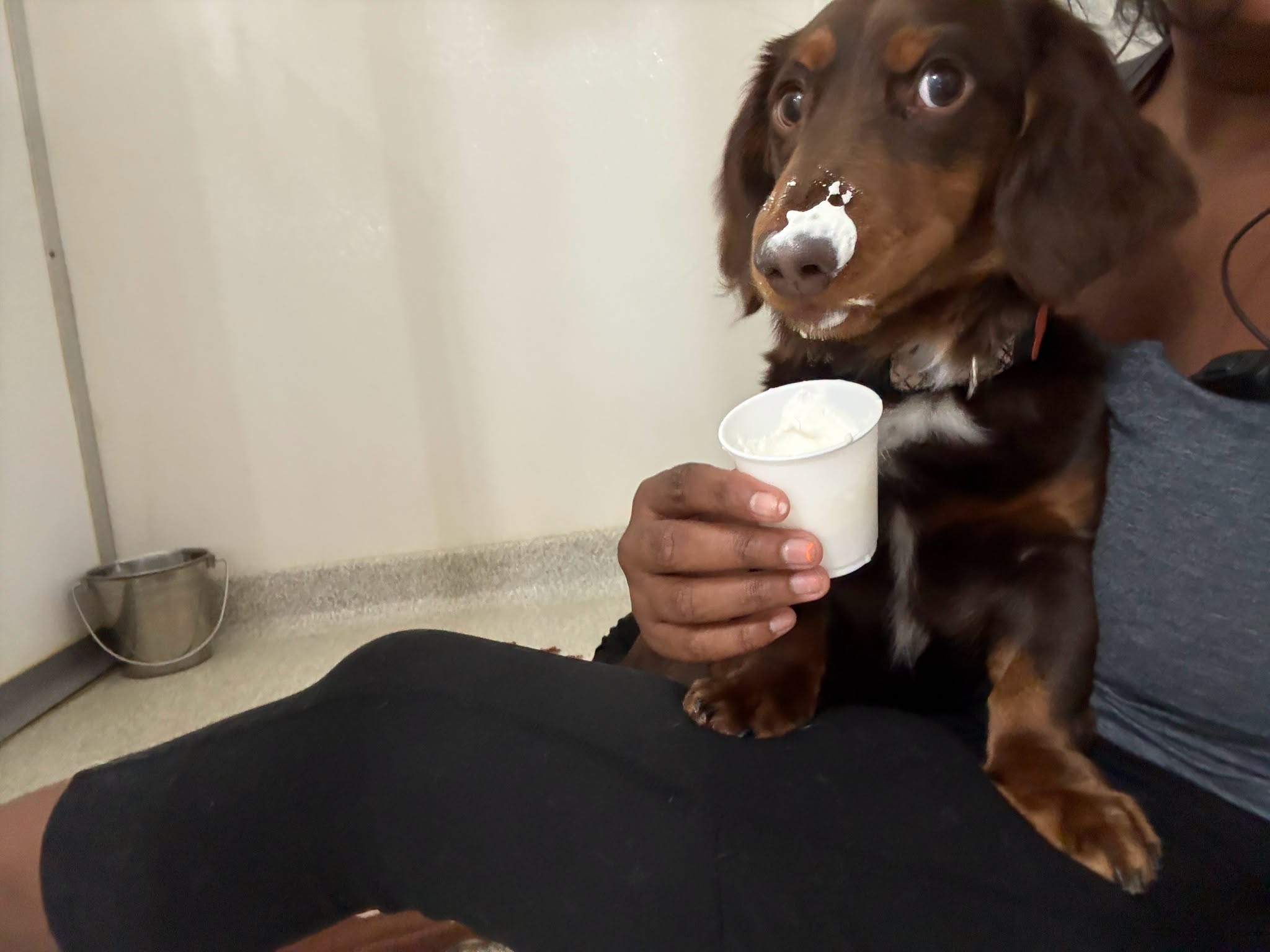 Special Tasty Treats