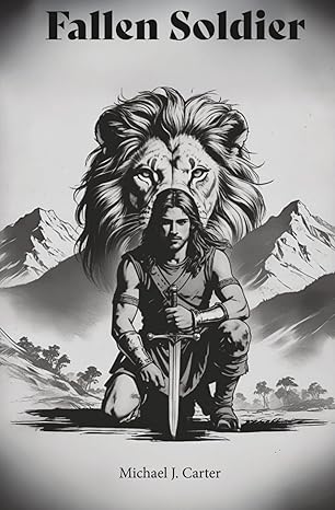 Fallen Soldier Book Cover