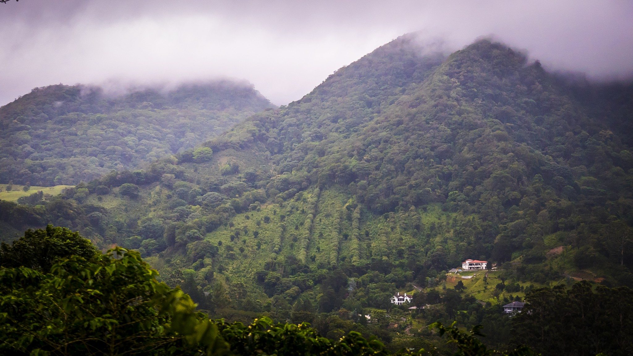 Panama photo 7