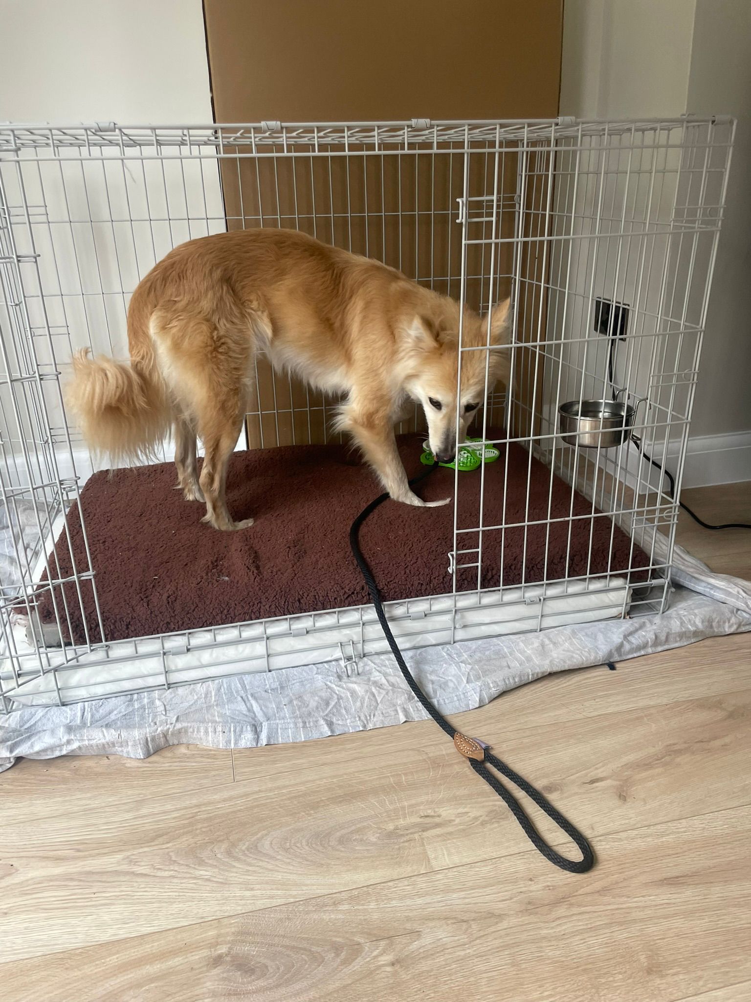 Standing in crate