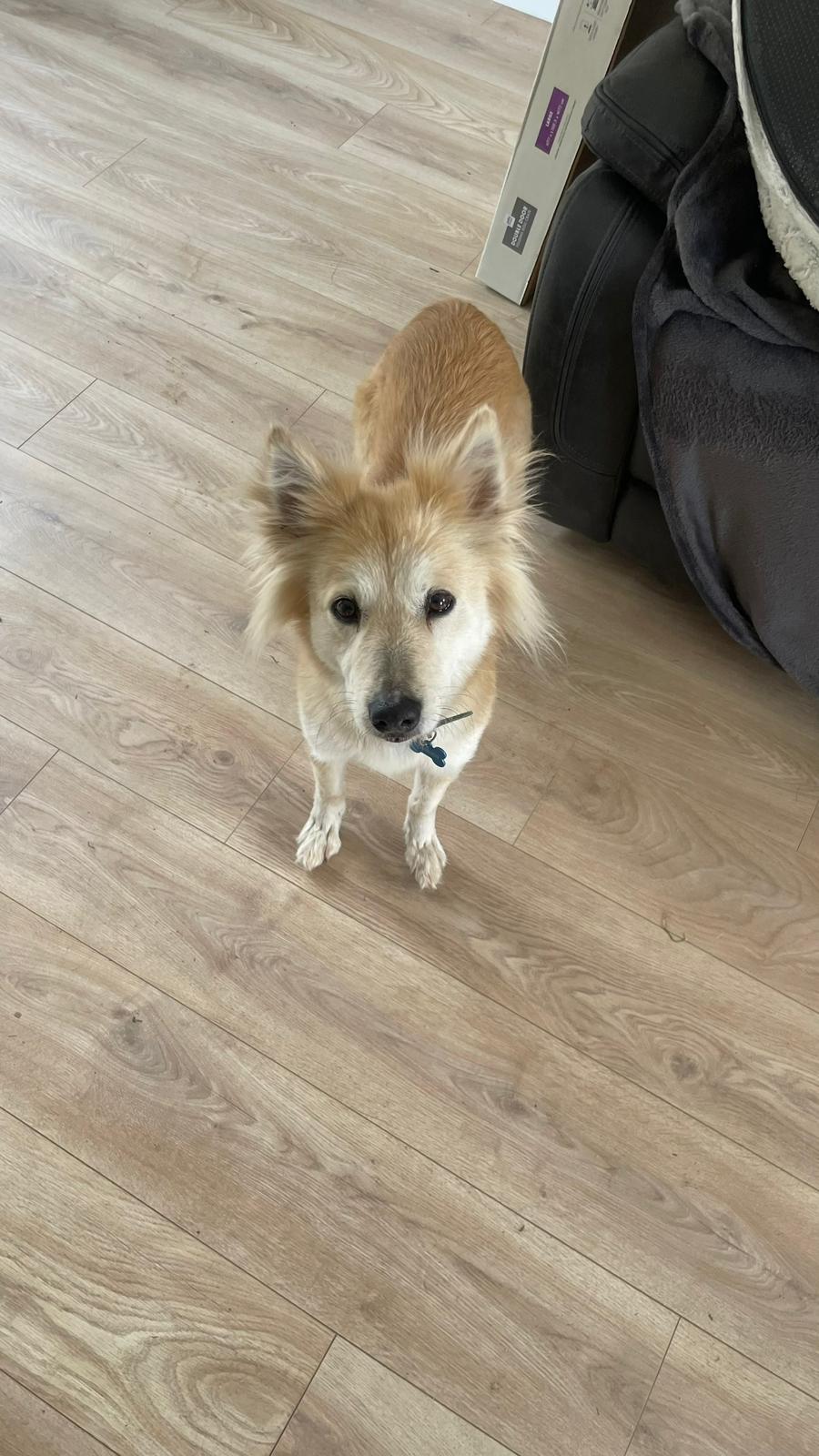 Face to the camera, wood floor