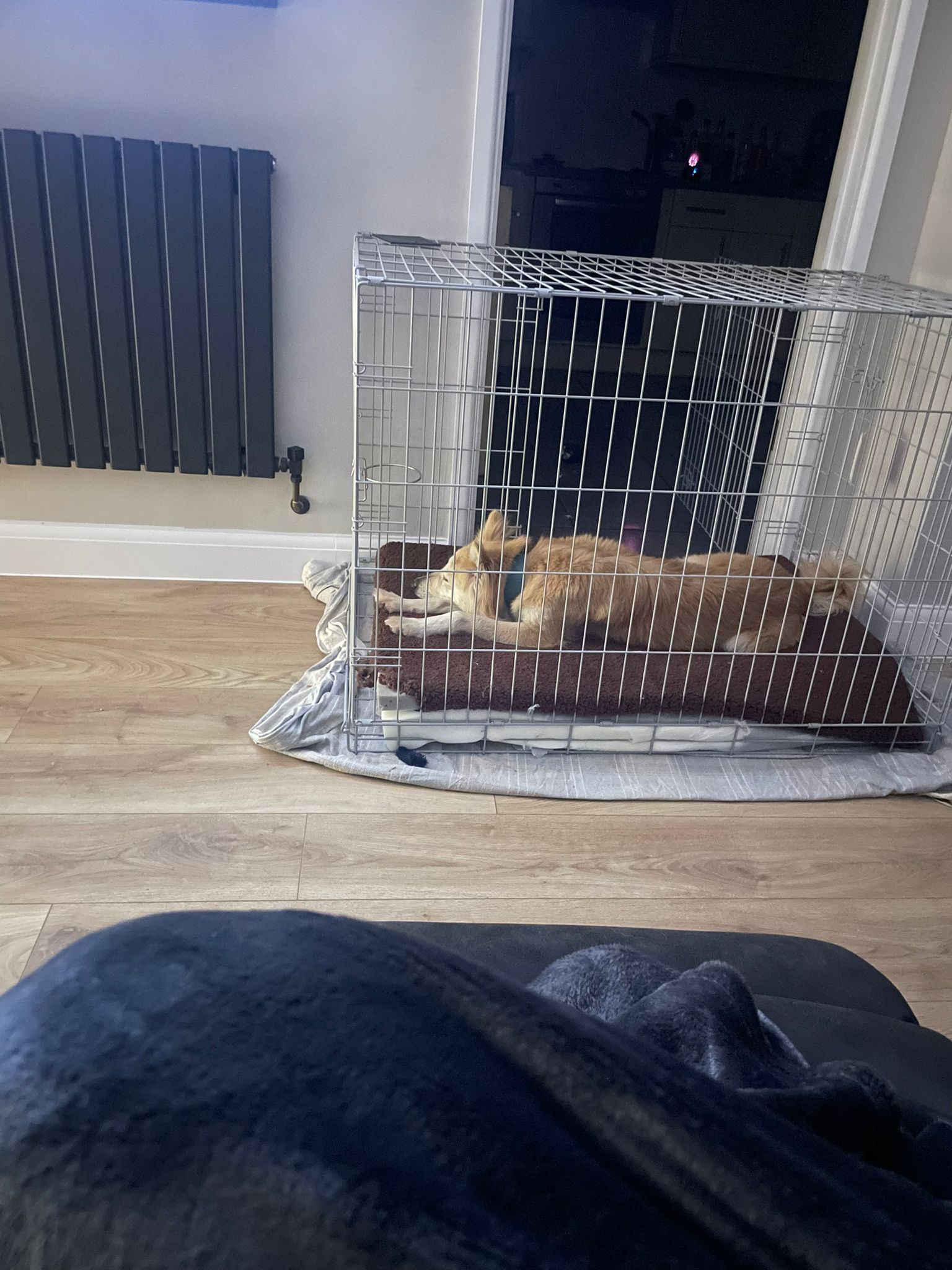 Crate asleep