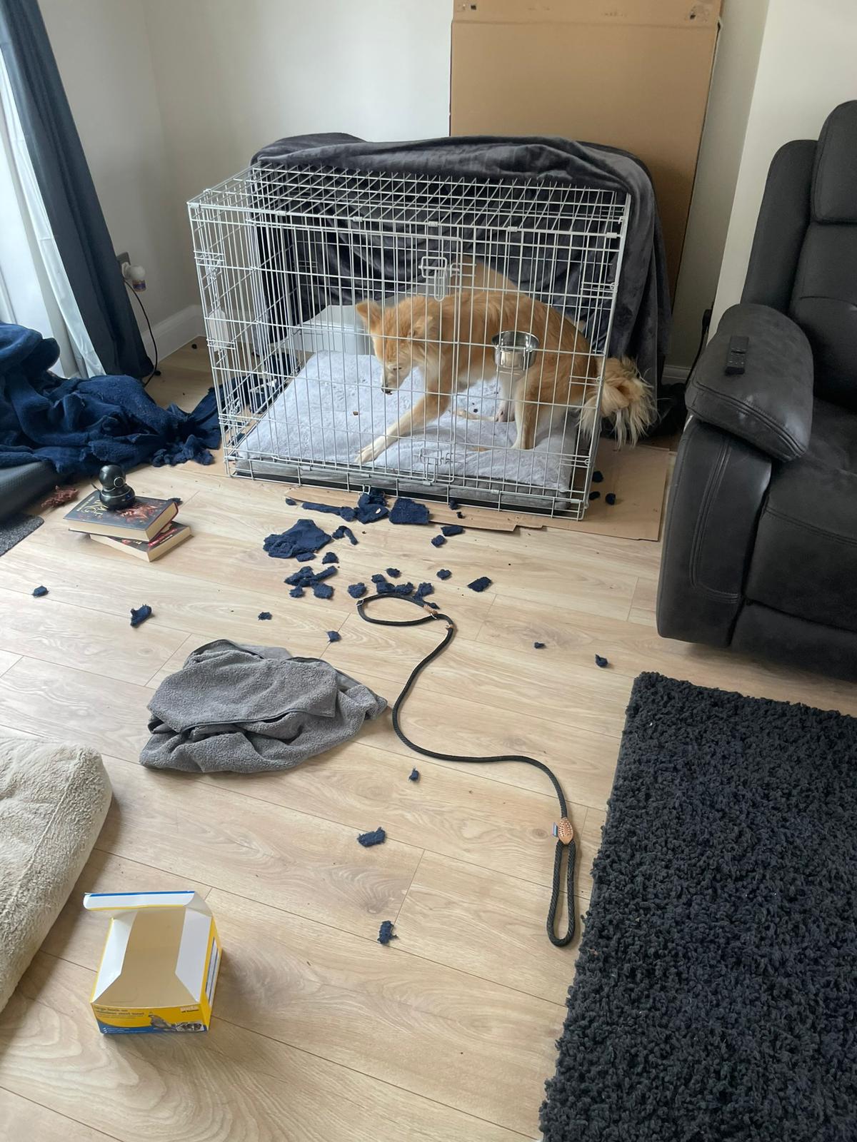 Destroyed bedding