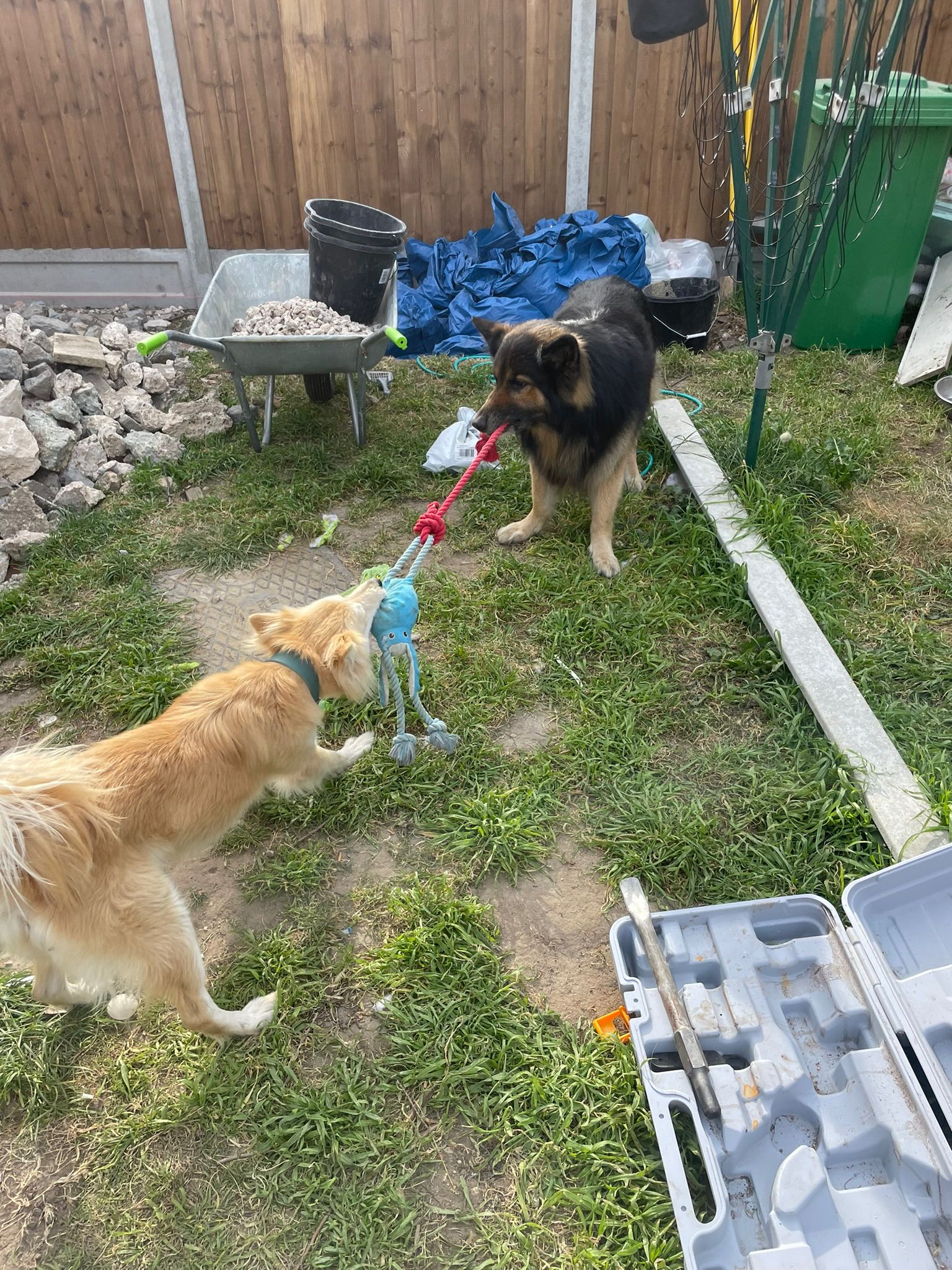Playing with Loki
