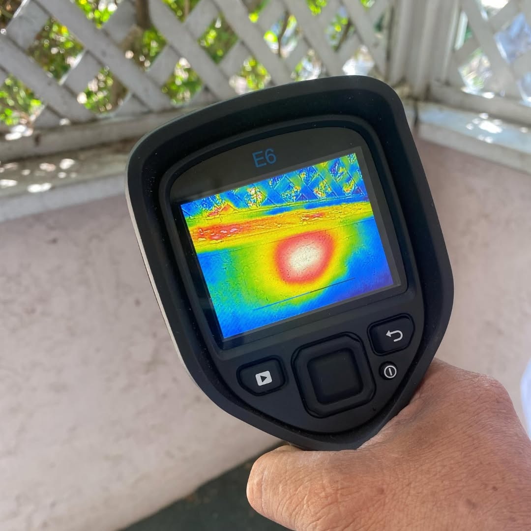 Thermal imaging for commercial bee removal San Diego