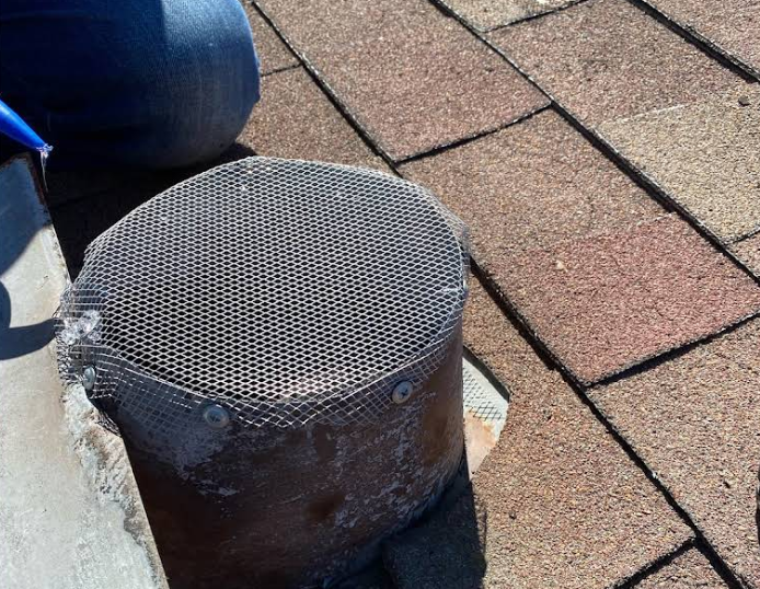 Bee proofing and prevention San Diego