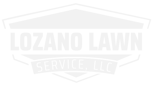 Business we serve
