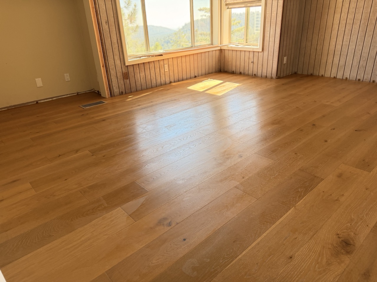 Sunlit Hardwood Floor