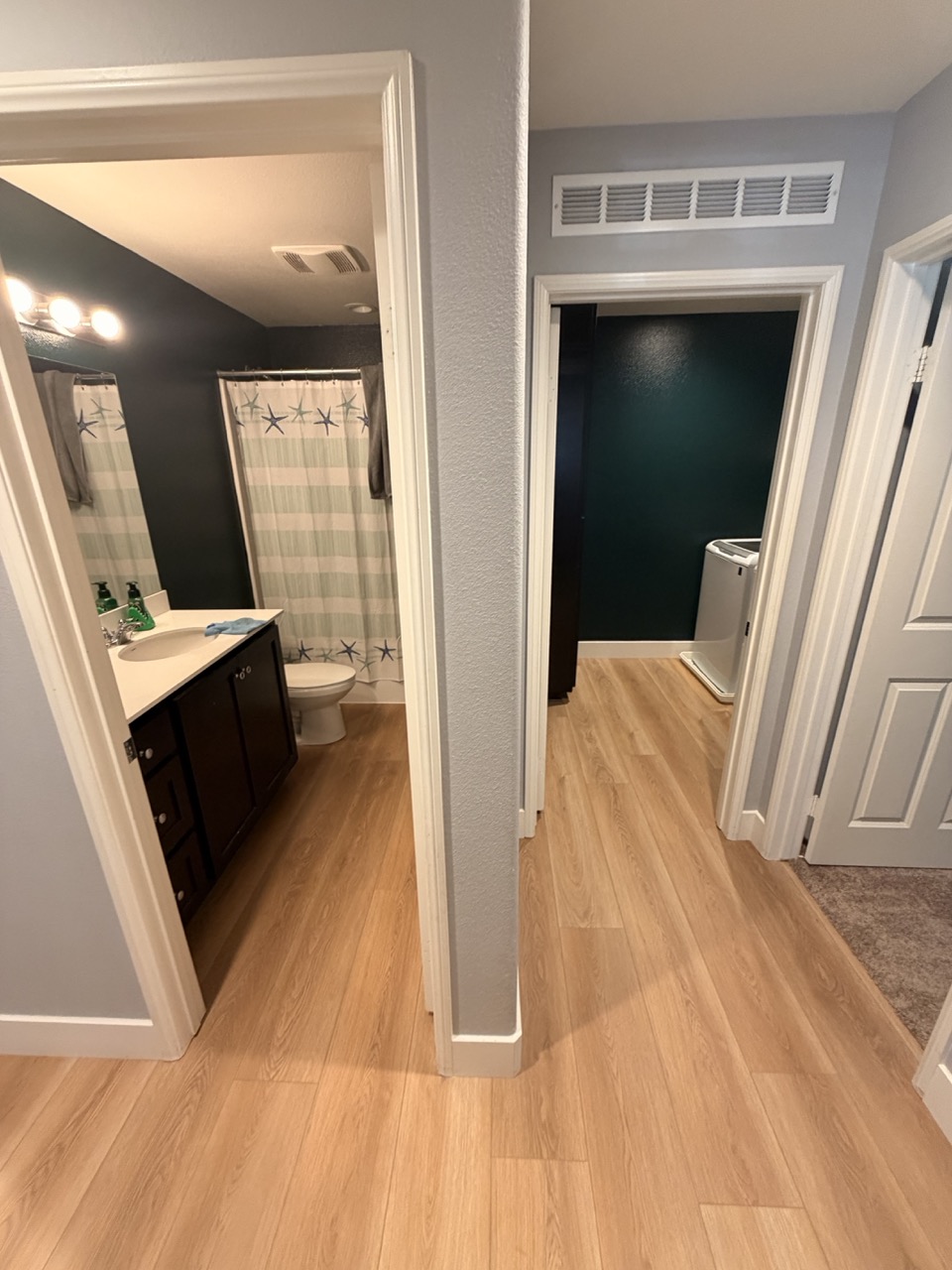 Bathroom and Hallway LVP