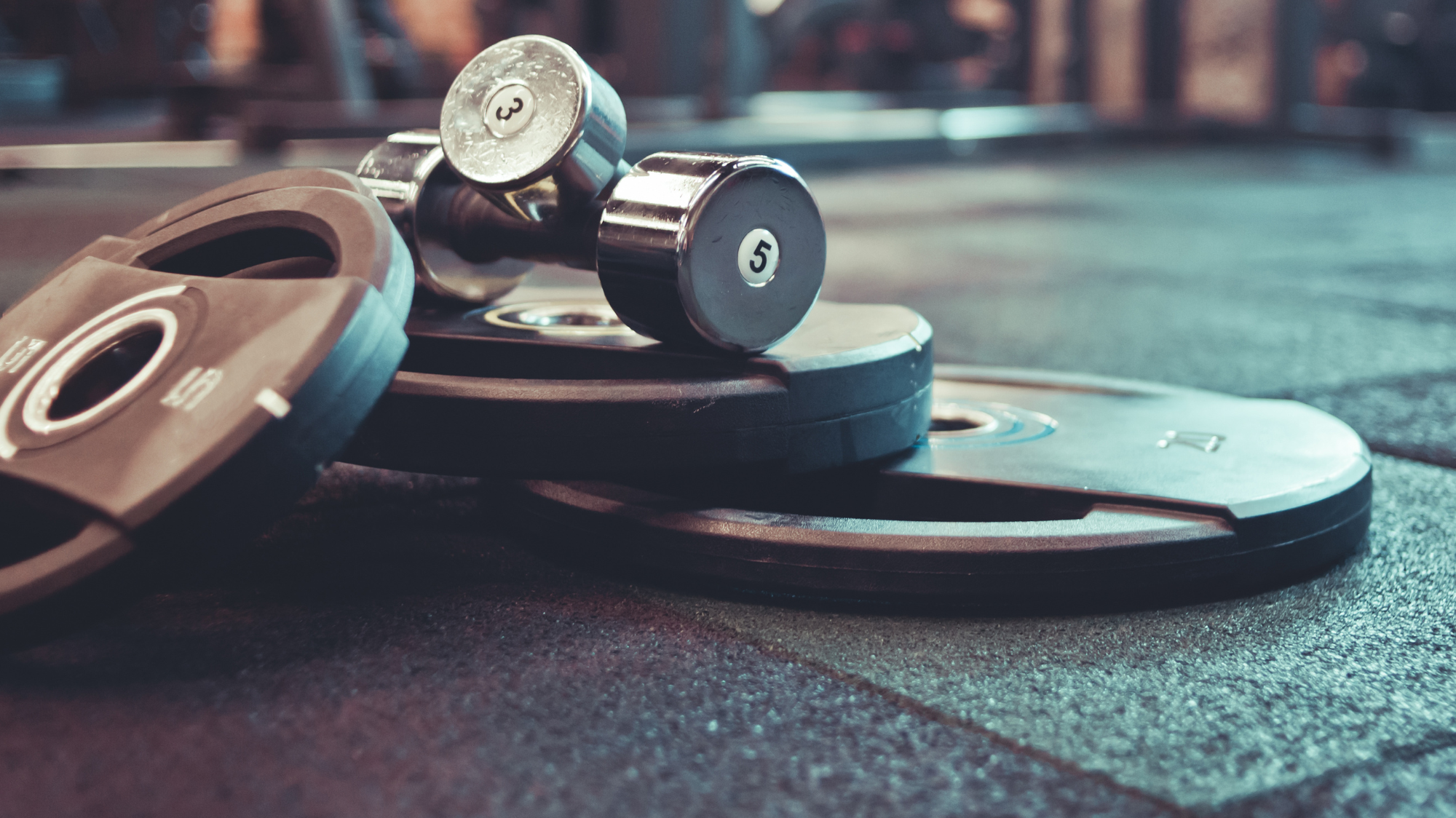 Strength, Mobility, and the Pursuit of Longevity