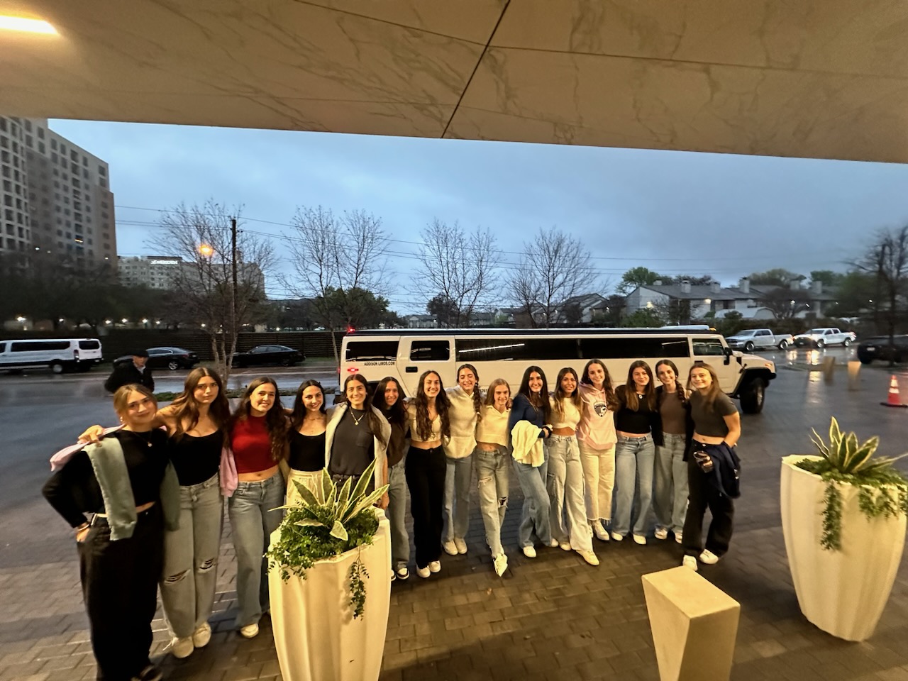 Birthday Limousine