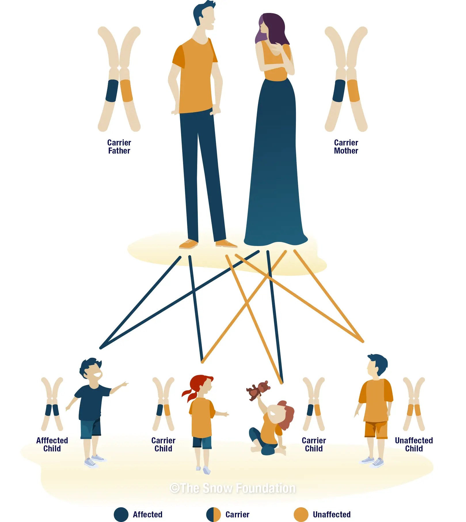 Autosomal Recessive Biological Inheritance Diagram