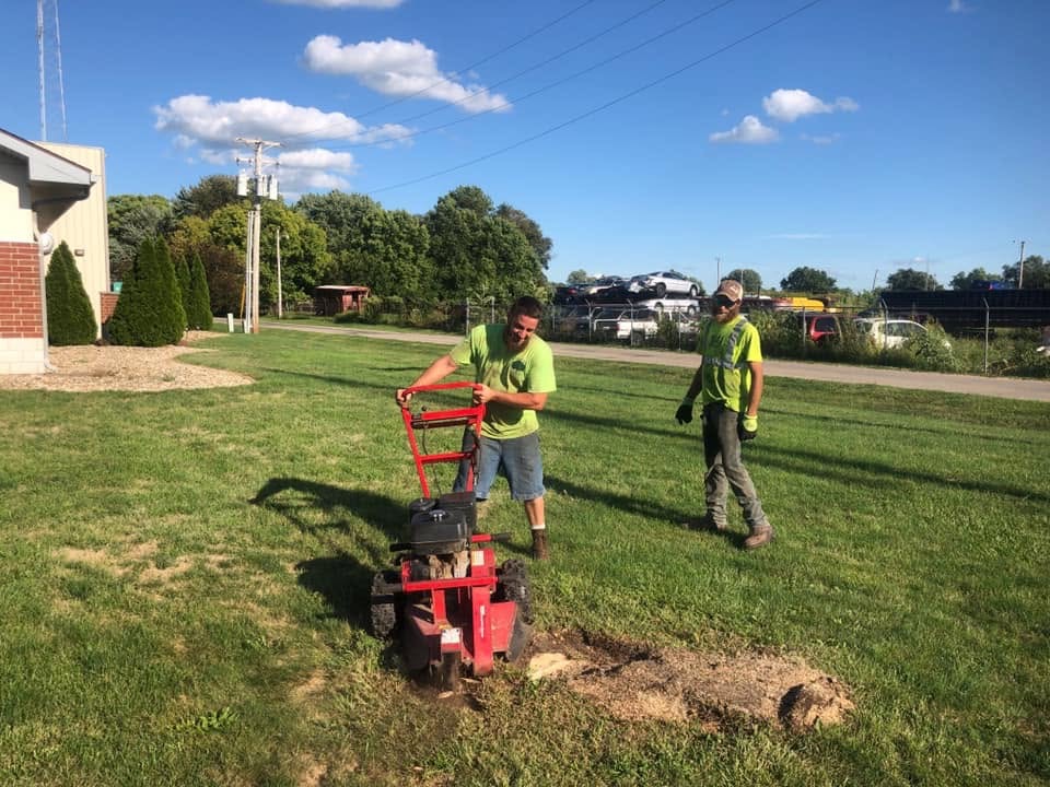 Complete stump grinding